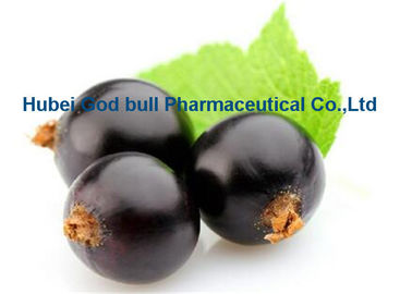 China Ribes roxo escuro Nigrum L do extrato da groselha para CAS antienvelhecimento 84082-34-8 fornecedor